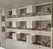 Cabinet Breeder cages