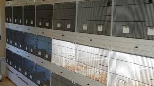 Cabinet Breeder cages