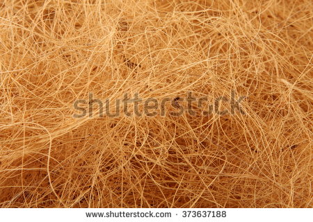 Coir