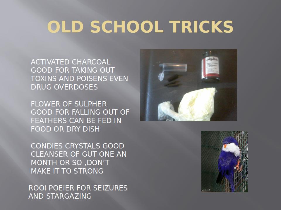 AvianFirstAidAndHealthCare