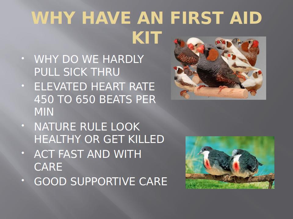 AvianFirstAidAndHealthCare