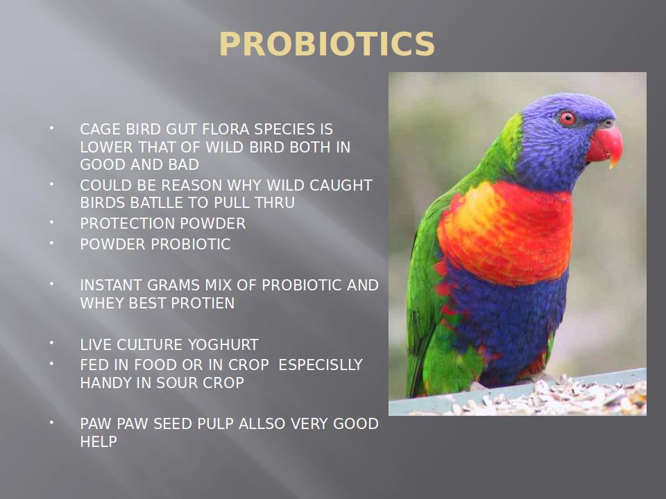 AvianFirstAidAndHealthCare
