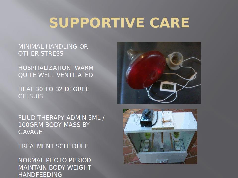 AvianFirstAidAndHealthCare