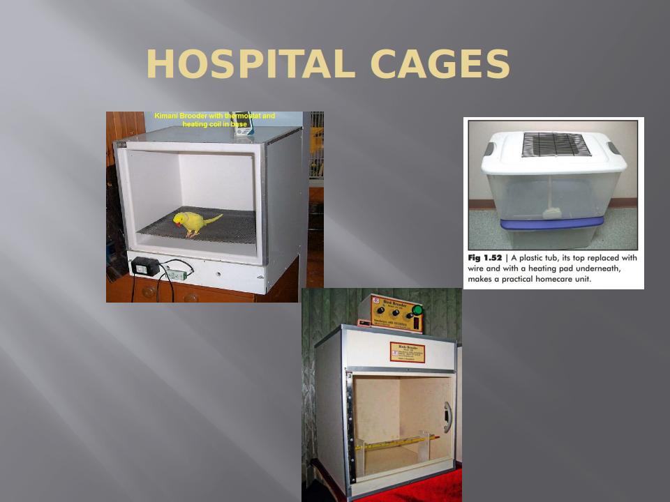 AvianFirstAidAndHealthCare