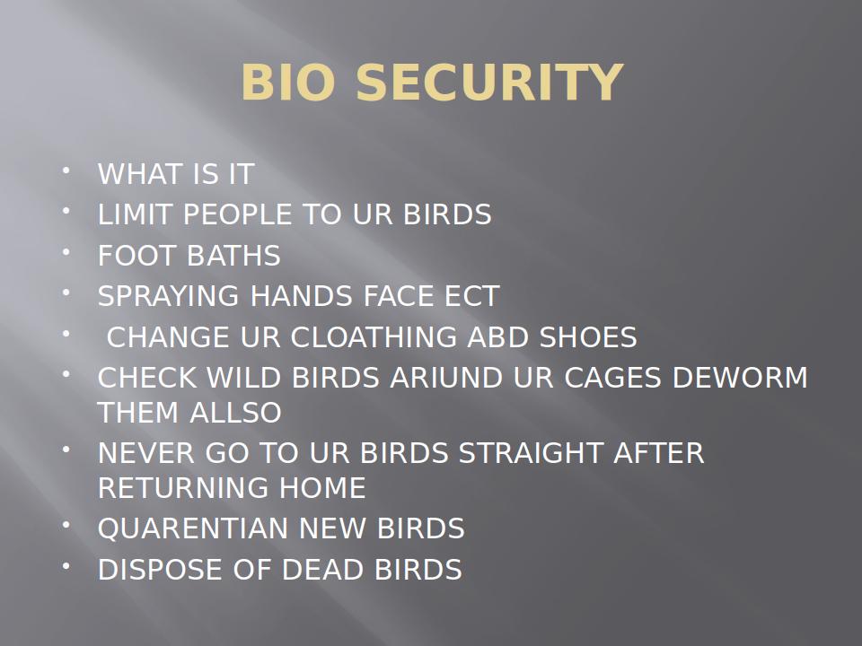 AvianFirstAidAndHealthCare