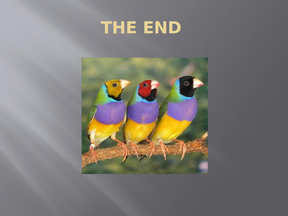 AvianFirstAidAndHealthCare