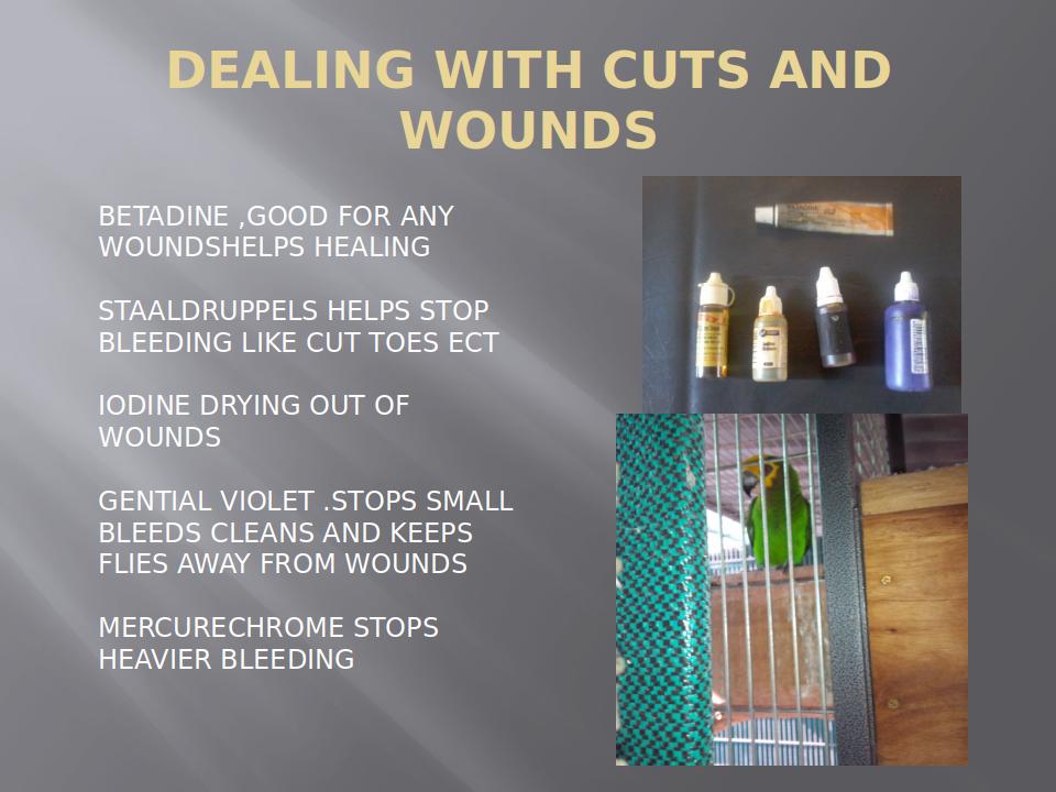 AvianFirstAidAndHealthCare